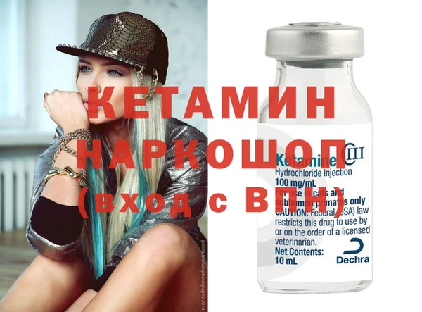 индика Няндома